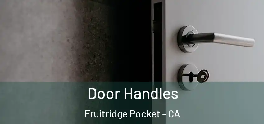  Door Handles Fruitridge Pocket - CA