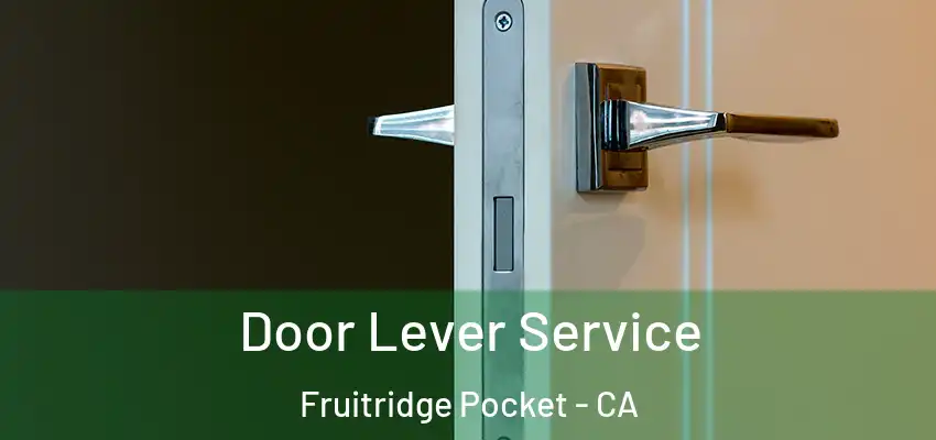  Door Lever Service Fruitridge Pocket - CA